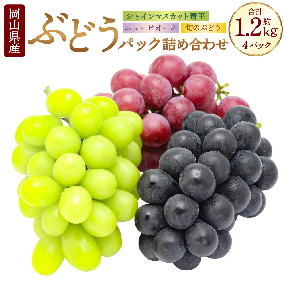 【ふるさと納税】岡山県産 ぶどう パック 詰合せ 3種 4パック 合計4房 約1.2kg ニューピオーネ シャインマスカット 晴王 旬のぶどうお任せ セット ピオーネ マスカット フルーツ 詰め合わせ 食べ比べ 送料無料【2026年9月上旬～10月下旬発送予定】