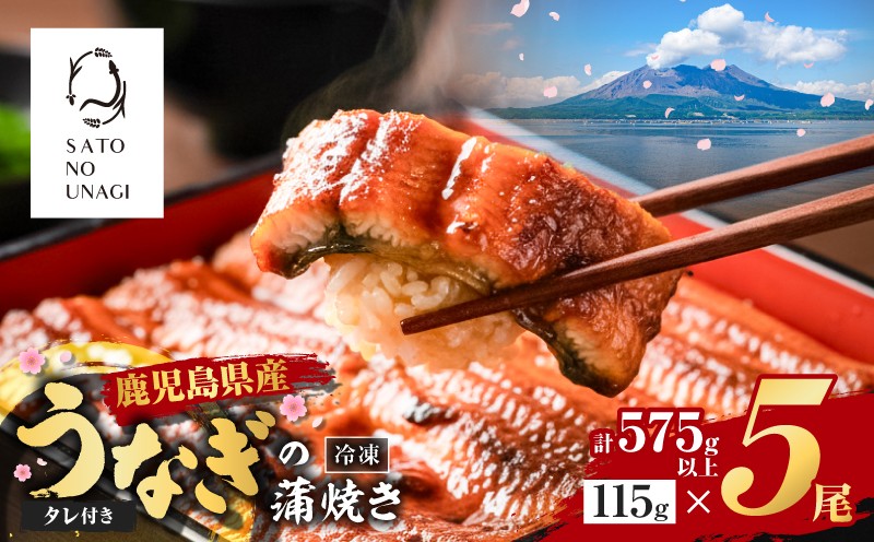 
                  鹿児島県産うなぎ蒲焼 115g×5尾 575g以上　K379-001_02
                