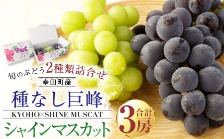 幸田町産「ハウス栽培旬のぶどう」2種類詰合せ（種なし巨峰×2、シャインマスカット×1）3房※7月中旬～8月上旬に発送予定※着日時指定不可※北海道・沖縄・離島への発送不可※