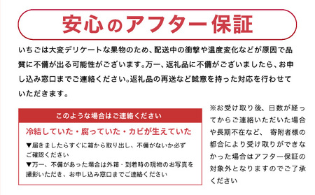 【先行予約】数量限定！あまい果汁溢れる！最高級品質”さがほのか” たっぷり1.9kg（235g×8p）
