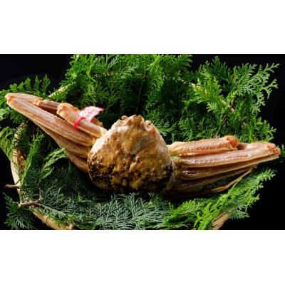 ふるさと納税 若桜町 【先行予約】鳥取県産　タグ付き活松葉がに　400g以上×2枚