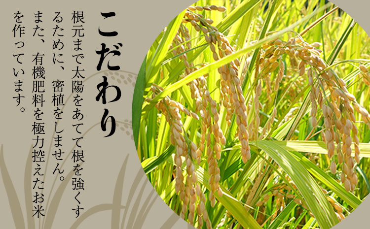 【令和7年産】『児玉農園』 にこまる5kg 5kg×1袋《10月中旬-10月末頃出荷》---sg_kodniko7_j10_25_12500_5kg---