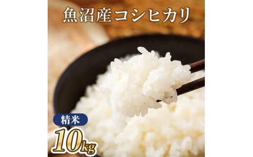 
                  【令和8年産】魚沼産コシヒカリ(精米)10kg
                