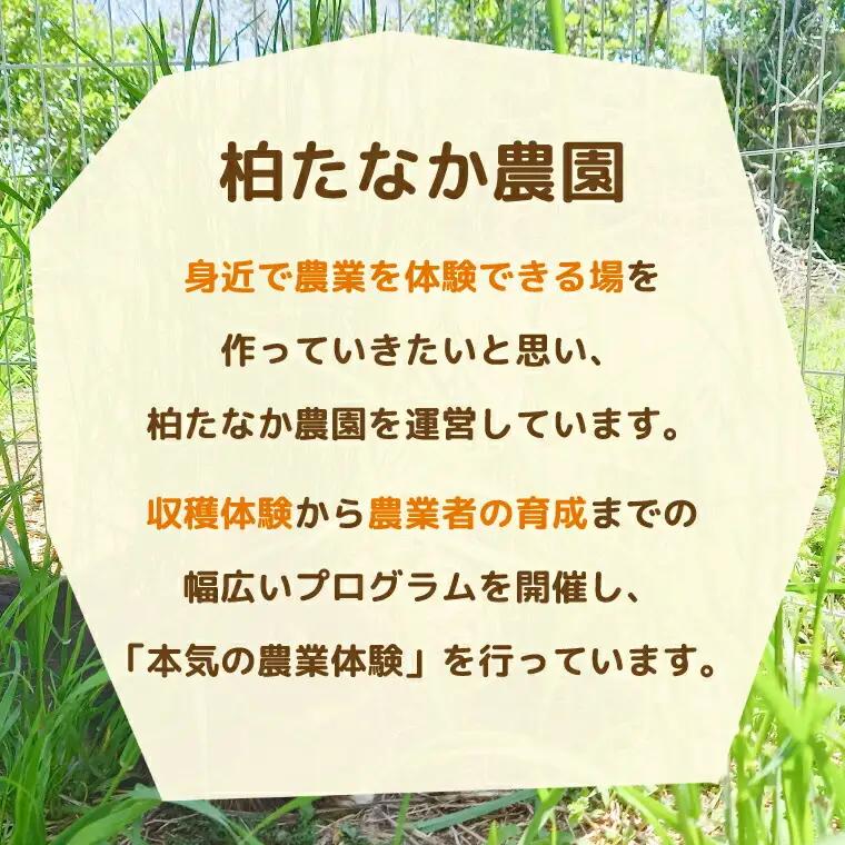 不登校児童生徒の農業体験の支援 （支援のみ） 〈 サポート 学び 食育 収穫体験 農業体験 体験 収穫 野菜 子供 親子 農作物 ふるさと納税 柏 〉