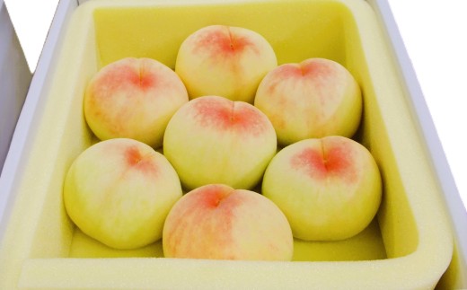 清水白桃 2キロ