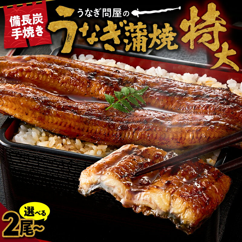【ふるさと納税】＜選べる＞うなぎ問屋の備長炭手焼 うなぎ蒲焼 特大2尾 3尾 計400g 計660g 特製タレ 山椒付き うなぎ ウナギ 惣菜 総菜 魚類 魚貝類 魚介類 鰻重 ひつまぶし 鰻丼 土用の丑 魚 冷凍 大隅うなぎ販売 鹿児島 鹿屋市 おすすめ ランキング プレゼント ギフト