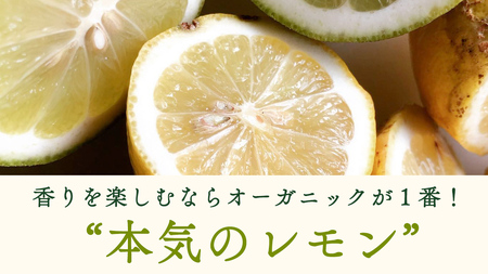 【 先行予約 】 瀬戸内 オーガニック レモン 3kg (24～30個程度) 2027年2月～3月発送