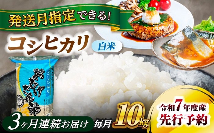 
            【3回定期便】＼選べる発送月／コシヒカリ 白米 10kg×3回 愛西市 / 脇野コンバイン  米 お米 コメ [AECP027]
          