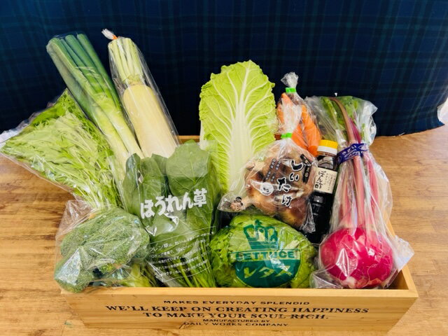 【ふるさと納税】東近江市産とれたて季節の旬野菜セット4回定期便　D28　一般財団法人 愛の田園振興公社