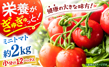 ミニトマト 約2kg（小分け12パック）＜ファゼンダ坂本＞[CGP002]