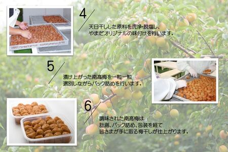 紀州南高梅「花」塩分約6％（850ｇ）_YD1005