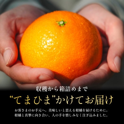 【紅まどんなと同品種】老舗農家が見極めたプレミアム【贈答用】まどんな2kg【E70-138】【1687051】
