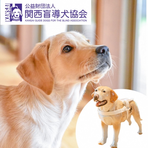 盲導犬 訓練 支援寄附 記念品［陶器のクイール（成犬）・タオル2枚セット・エコバッグ など盲導犬協会オリジナルグッズ］補助犬（100,000円）