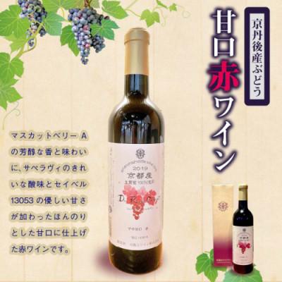 ふるさと納税 京丹後市 【毎月定期便】京丹後産ぶどうを醸造した甘口の赤ワイン 720ml ワイナリー直送全3回