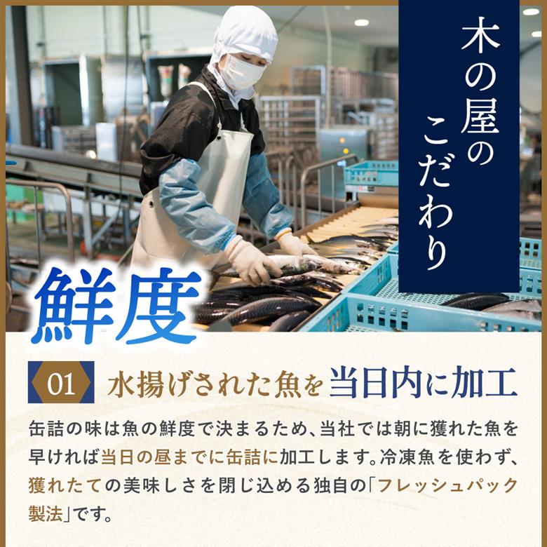 木の屋石巻水産　美里町直売所厳選美里町の地酒＆缶詰セット / 缶詰 魚 煮物 くじら 焼肉 おつまみ 海鮮【kany006】
