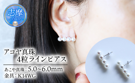 【真珠】 ラインピアス 5-6 ミリ ４粒タイプ ピアス K14WG