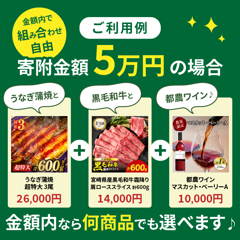 ≪期限1年間≫あとからセレクト 300万円コース【ふるさとギフト】 あとから選べる_T998-032【カタログ ギフト 鰻 肉 ワイン 都農町】