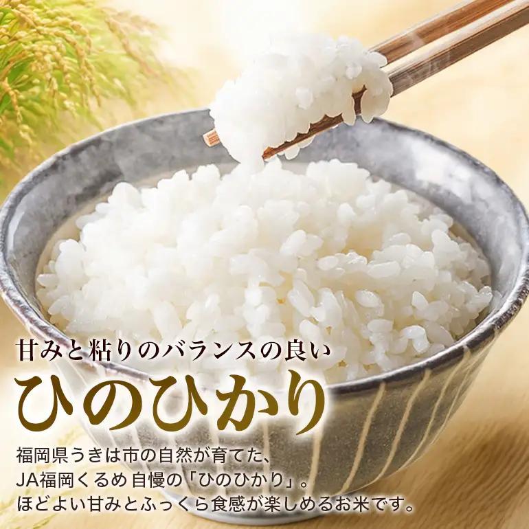 【3回定期便】 ひのひかり 米 お米 玄米 20kg 令和8年産 新米 【JA福岡くるめ にじの耳納の里】 A01-011-BW03-320