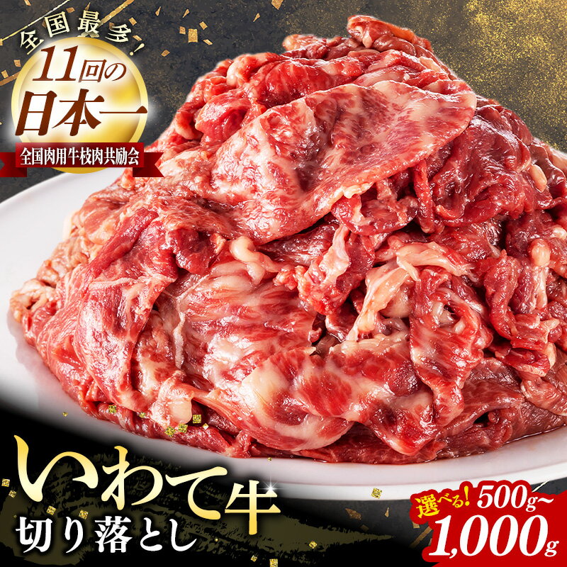 【ふるさと納税】牛肉 切り落とし 黒毛和牛 500g / 1kg 小分け 切落し 国産 おかず 食卓 料理 旨味 柔らかい すき焼き 焼肉 バーベキュー BBQ 肉じゃが 牛丼 肉炒め しゃぶしゃぶ ストック 和食 洋食 お取り寄せグルメ 贈答品 ギフト 贈り物 お中元 お歳暮