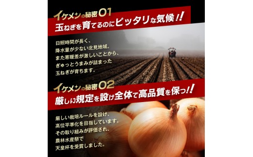 【2027年2月中お届け】JAきたみらい産 玉ねぎ Lサイズ以上 10kg ( タマネギ たまねぎ 野菜 )【210-0003-2026】