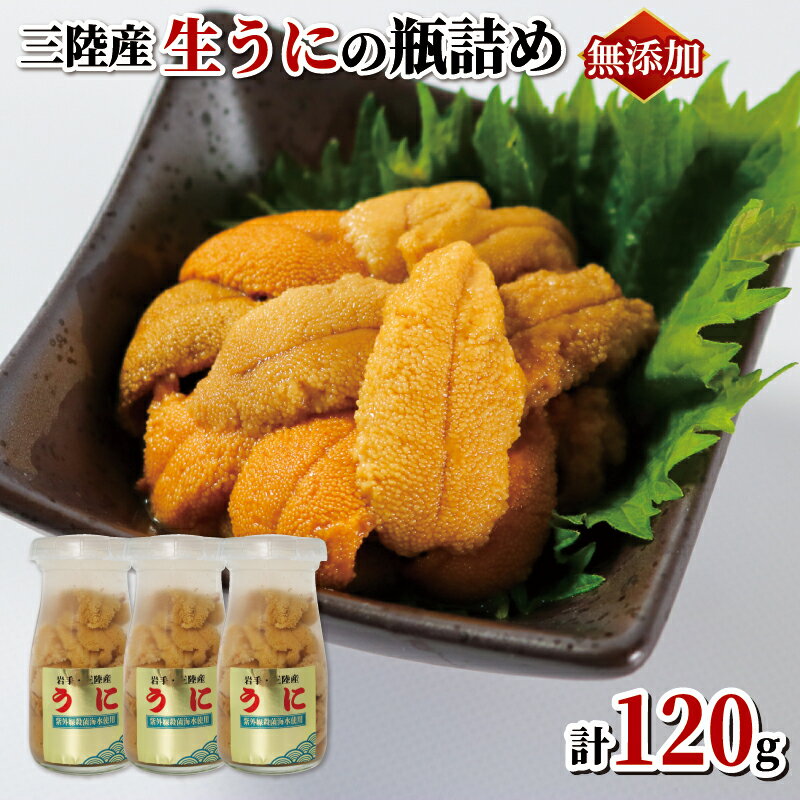 【ふるさと納税】 生ウニ 牛乳瓶 無添加 冷蔵 120g (40g×3本) うに ウニ 三陸産 ミョウバン不使用 国産 岩手県産 天然 キタムラサキウニ 雲丹 大船渡市 岩手県 ウニ丼 刺身