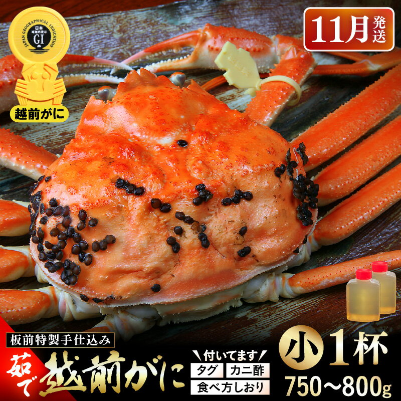 【ふるさと納税】≪茹で≫越前がに大（タグ付き）1杯（生で1kg以上）カニ酢90cc付 板前特製手仕込み 食べ方しおり付き【雄 ズワイガニ かに カニ 蟹 越前ガニ 姿 ボイル 冷蔵 福井県】【11月発送分】希望日指定可 備考欄に電話番号をご記入ください
