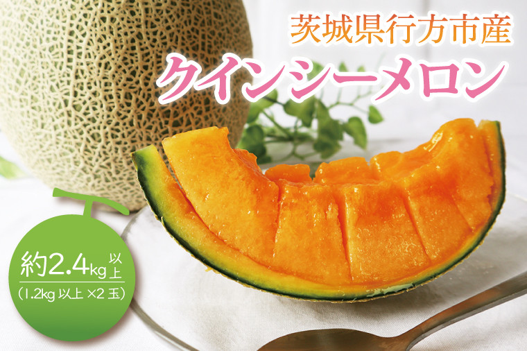 
            【2026年5月より順次発送】クインシーメロン（2玉）｜メロン クインシーメロン フルーツ 果物 くだもの 先行予約 茨城県 行方市(BW-19-1)
          
