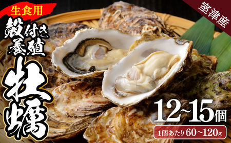 室津牡蠣 殻付き12から15個 牡蠣[ak004]