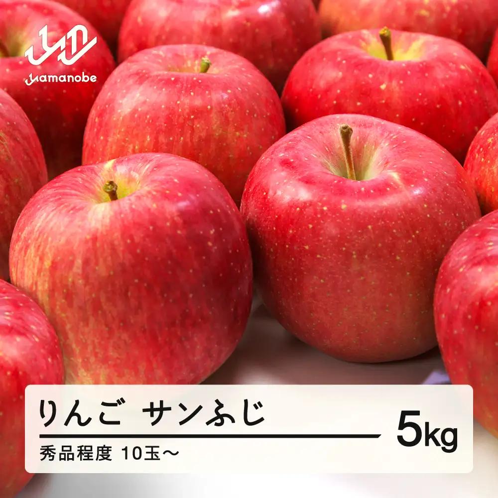 【先行予約】りんご サンふじ 2026年産 秀品程度 約5kg(10~20個程度) 山形県産 tf-risfs5