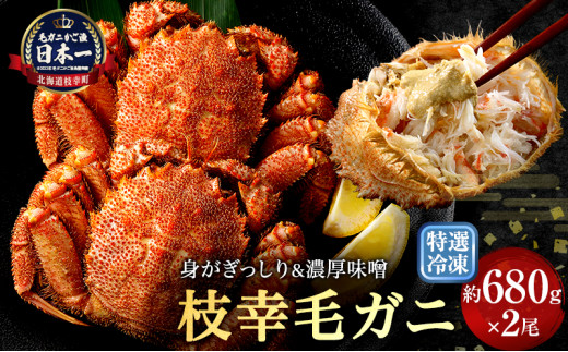 【漁獲量日本一】至福の逸品！特選冷凍「枝幸毛がに」約680g×2尾 毛蟹 毛ガニ オホーツク 北海道
