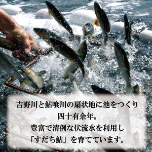 すだち鮎 あゆ 1kg 冷凍 あゆ