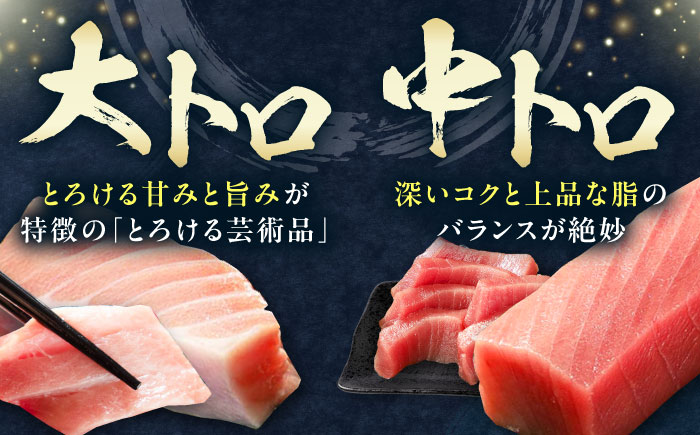【12月中にお届け】対馬産 養殖 本マグロ 4種 ( 赤身 1パック / 中トロ 3パック / 大トロ 1パック / ネギトロ 2パック)《対馬市》【対海】 マグロ 鮪 本鮪 [WAH004-12]