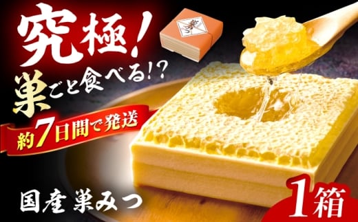 【年内発送！12/22まで！】国産巣みつ 300g 蜂蜜 はちみつ ハチミツ コムハニー 極上はちみつ 濃厚ハチミツ 国産蜂蜜 スピード配送 広川町 / 株式会社九州蜂の子本舗 [AFAI004] はちみつ 蜂蜜 ハチミツ/ 株式会社九州蜂の子本舗 [AFAI004] はちみつ 蜂蜜 ハチミツ