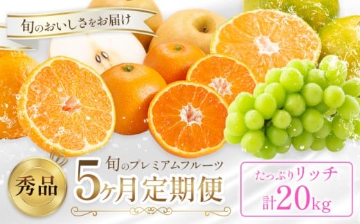 プレミアム フルーツ 定期便 5ヶ月連続 秀品 リッチ 計20kg  日本フルーツ株式会社《8月上旬-12月末頃出荷》熊本県 荒尾市 シャインマスカット おまかせ 梨 極早生みかん 温州みかん 葉付き 不知火 果物 フルーツ スイーツ デザート ギフト ご贈答