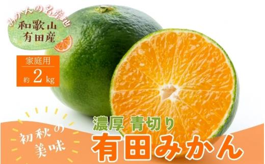 ＜9月中旬～＞【先行予約】ご家庭用青切り有田みかん　約1kg+200g(傷み補償分) ※着日指定不可 ※沖縄・離島は配送不可 ※2026年9月中旬～10月上旬頃に順次発送予定　【ard207A】