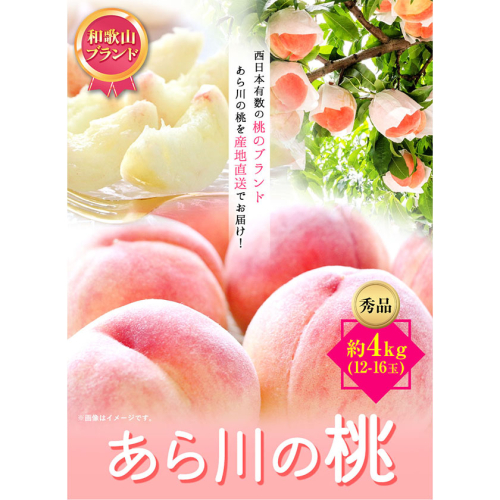 【先行予約】和歌山産あら川の桃　約4kg （12玉～16玉） 秀品 前商店《6月末-8月上旬頃出荷》 和歌山県 紀の川市