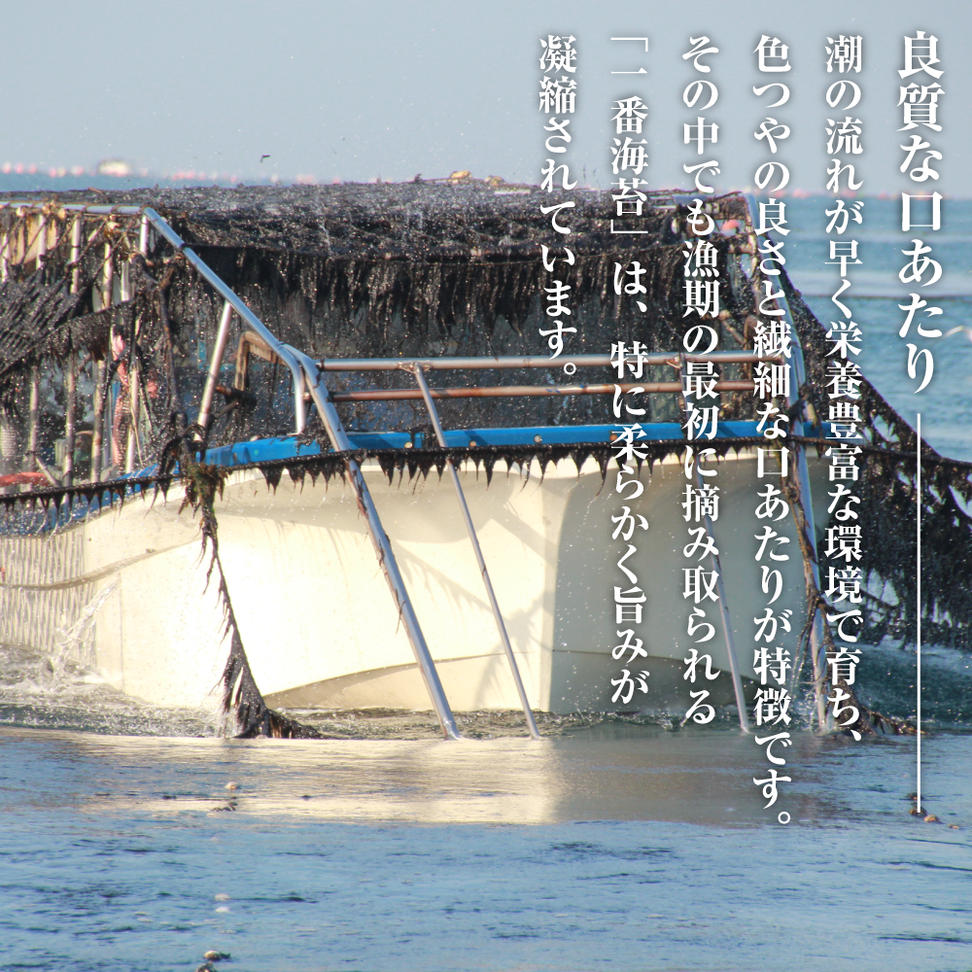 新海苔使用 味付けのり 8切×5枚×20袋（板のり12.5枚）×5袋