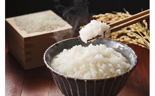 佐賀県産ゆめしずく（特A） 白米4.5kg×６回定期便 B751