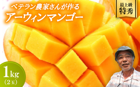 【2026年7月から順次発送・最上級特秀】名匠・比嘉峯夫さんが育てる アップルマンゴー1kg(2玉)【配送不可地域：離島】【1695305】