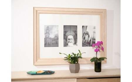 小さな 胡蝶蘭 2本立ち 鉢 付き 1鉢 ranto Mサイズ 【 胡蝶蘭 】