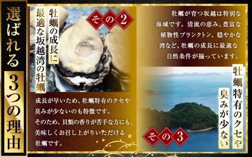 サムライゴールド 坂越産 殻付き生牡蠣 10個 かき カキ 牡蠣 生牡蠣 生がき 生ガキ 殻付き 殻 海の幸 魚介 貝 国産 兵庫県産