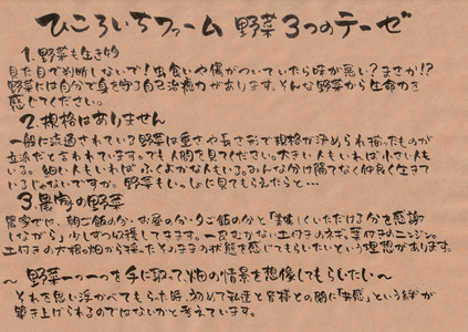 【定期便6ヶ月／毎月2回発送】ひころいちファーム定番野菜セット 計12回お届け （農家の気持ち体験型野菜の詰め合わせ） 岩手 陸前高田 農業
