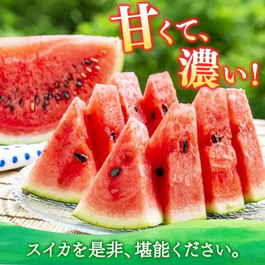 大玉スイカ（1玉）【2026年5月頃から7月中旬まで順次発送予定】 熊本県産 西瓜 すいか
