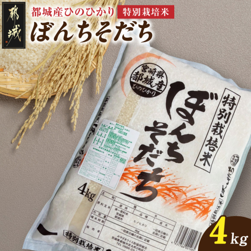 都城産ひのひかり特別栽培米「ぼんちそだち」4kg_13-N501