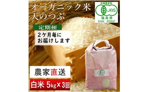 【令和6年産・新米】 南相馬 天のつぶ 定期便 5kg 5キロ 3回 15kg 15キロ JAS 有機米 根本有機農園 白米 精米 新米 コメ ブランド米 福島 福島県産 低温貯蔵庫 送料無料 旨い ふるさと納税 オンライン申請【3005201】