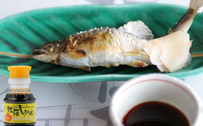 万能調味料 しょうゆ 調味料 紅梅しょうゆ セット 美味しい
