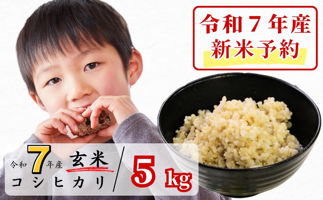 
            《令和7年産新米予約・10月ごろよりお届け開始》玄米 5kg 令和7年産 コシヒカリ 岡山 あわくら源流米 K-ab-AEDA
          