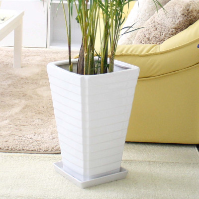 【観葉植物】アレカヤシ 8号 ホワイト陶器鉢 Ｇタイプ 土の表面:ウッドチップ【観葉植物 インテリア 部屋 おしゃれ 福岡県 筑前町 送料無料 AG039】【価格改定X】