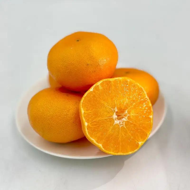 【全3回】愛媛の離島「中島」産柑橘食べきり定期便 1.5kg | 甘平 せとか カラマンダリン みかん フジ・アグリフーズ 春みかん 愛媛蜜柑 愛媛ミカン みかん ミカン mikan 蜜柑 柑橘 フル