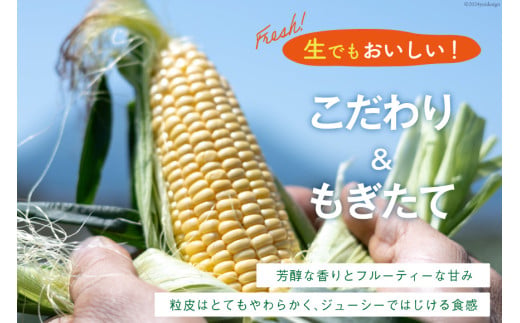 AI207【令和8年度出荷分】とうもろこし スイートコーン イエロー 2L~3Lサイズ 11本~12本 計5kg [ トウモロコシ コーン ゴールドラッシュ 野菜 5キロ さかいさんち SAKAI F